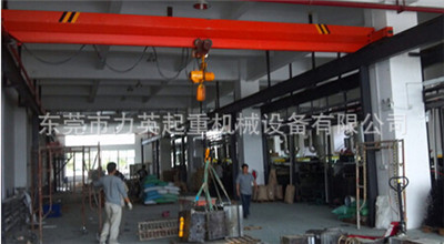 东莞起重机,东莞起重机做工范围广吗